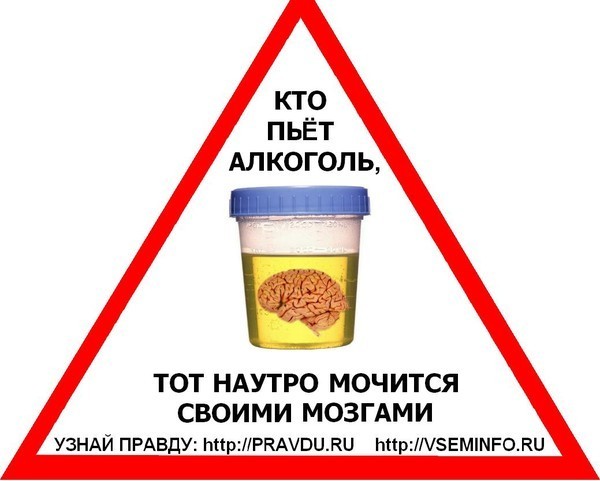 Ответы@Mail.Ru: из за алкоголя может болеть селезенка