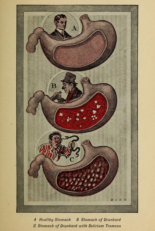 Иллюстрация из книги Джеймса Эдсона Уайта «Человек, который пил ром»