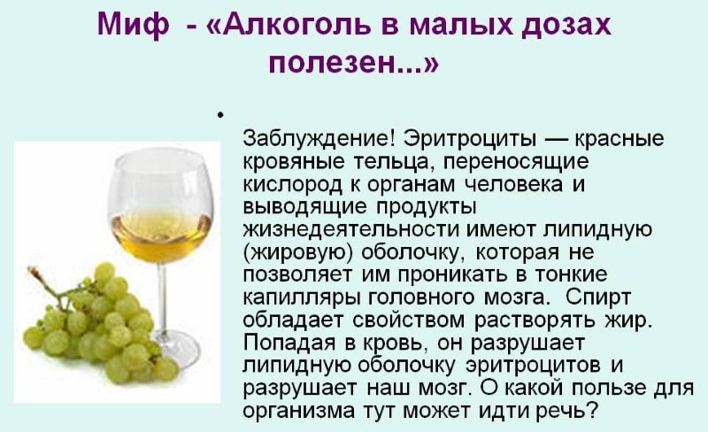 полезен ли алкоголь в малых дозах 