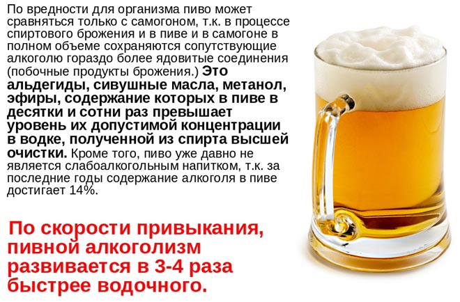 вред пива для организма