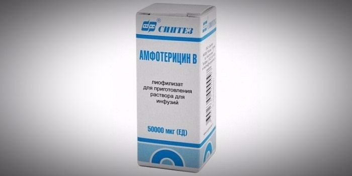 Амфотерицин B при грибковой пневмонии