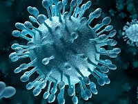 Вирус гепатита А