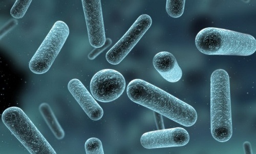 Активный ингредиент Трихопола не проявляет бактерицидных свойств при наличии большинства аэробных бактерий 
